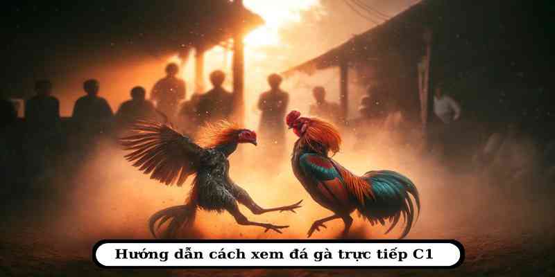 Đón xem những trận thư hùng đẹp mắt tại đá gà Hi88